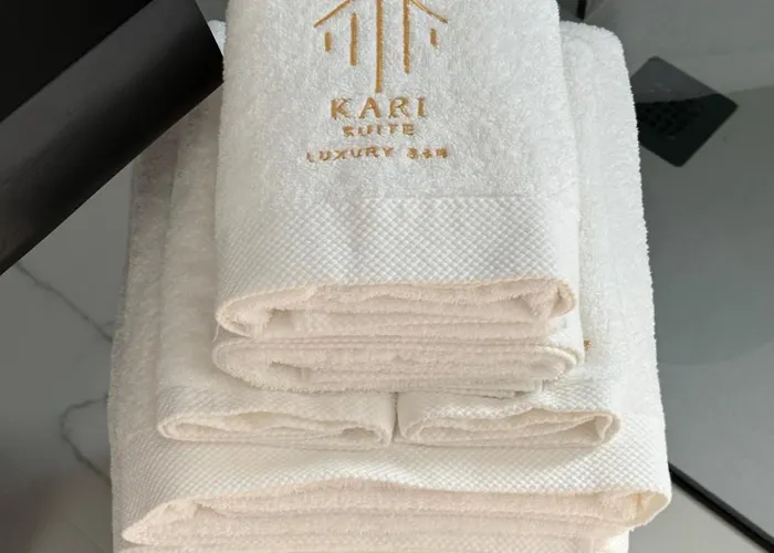Kari 招待所